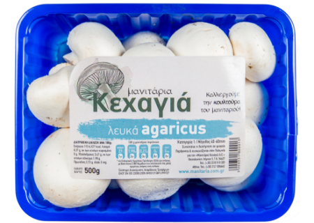 Agaricus